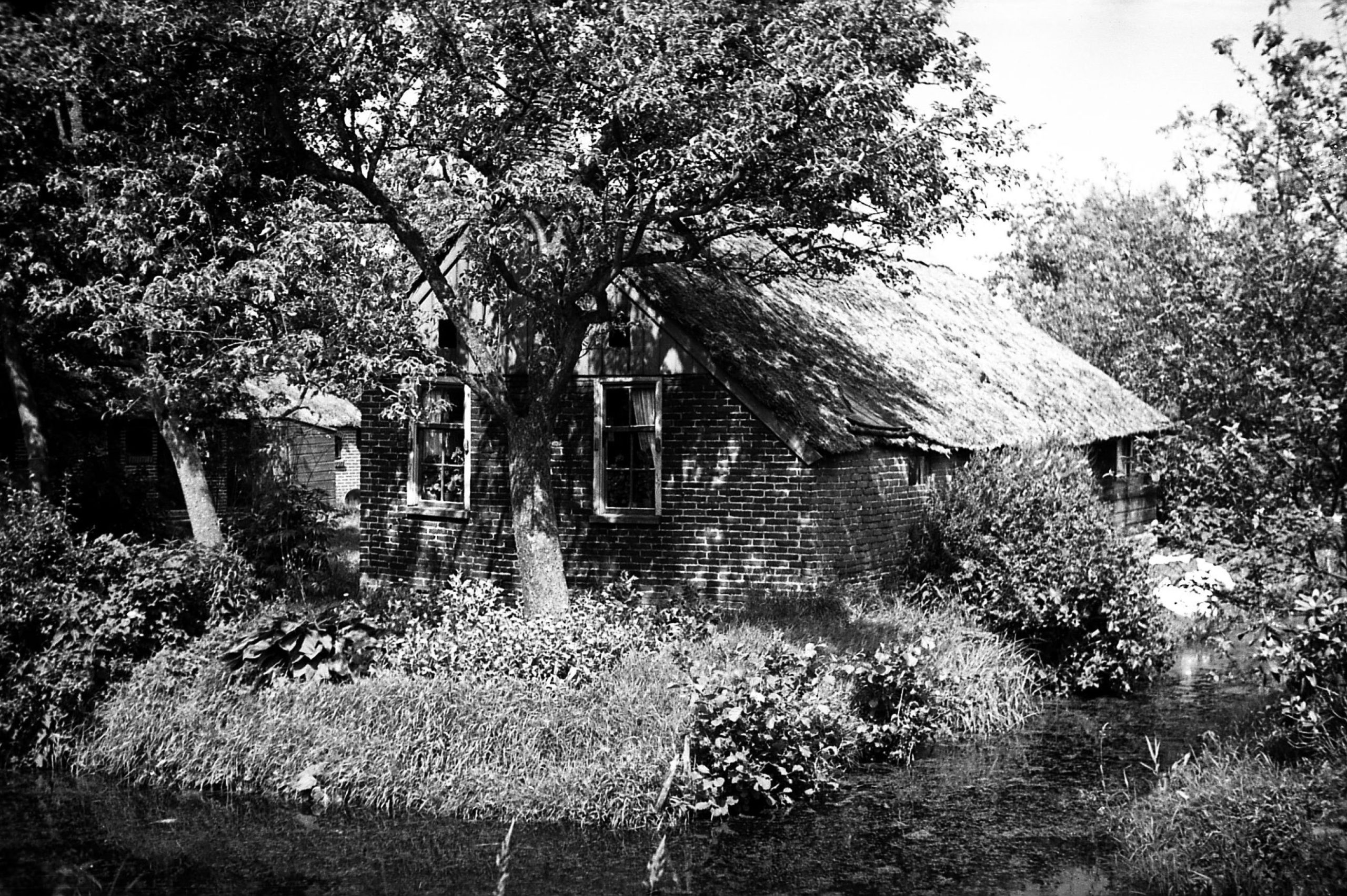 Geytenhoren